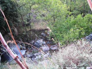 stoleone-31-08-2015 09-10-16